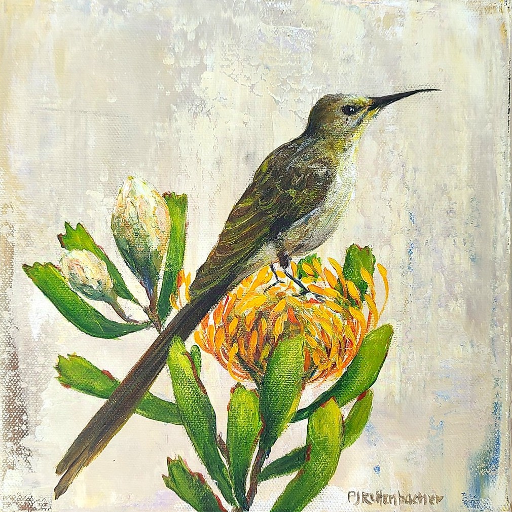 Sunbird Pin Cushion
