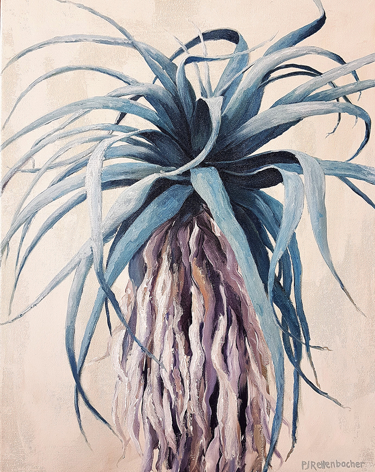 Aloe 2
