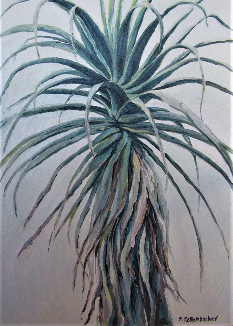 Aloe 5
