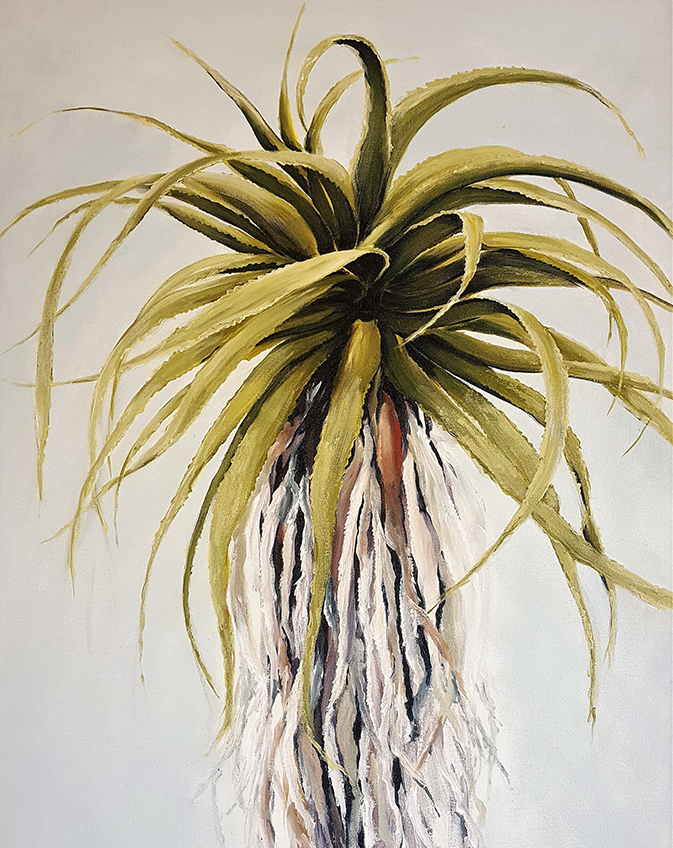 Aloe 3