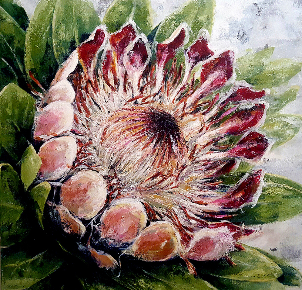 Protea 1