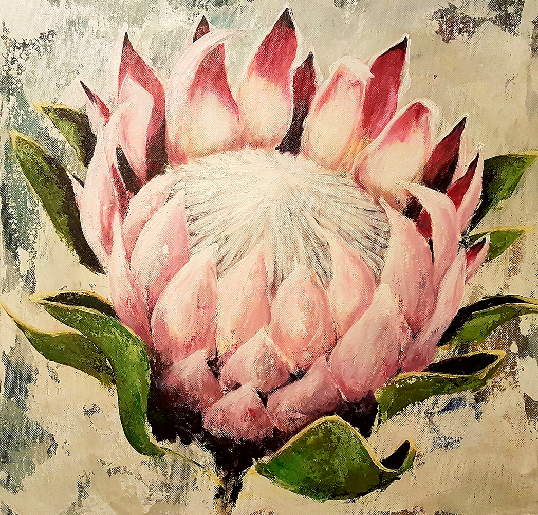 Protea 4